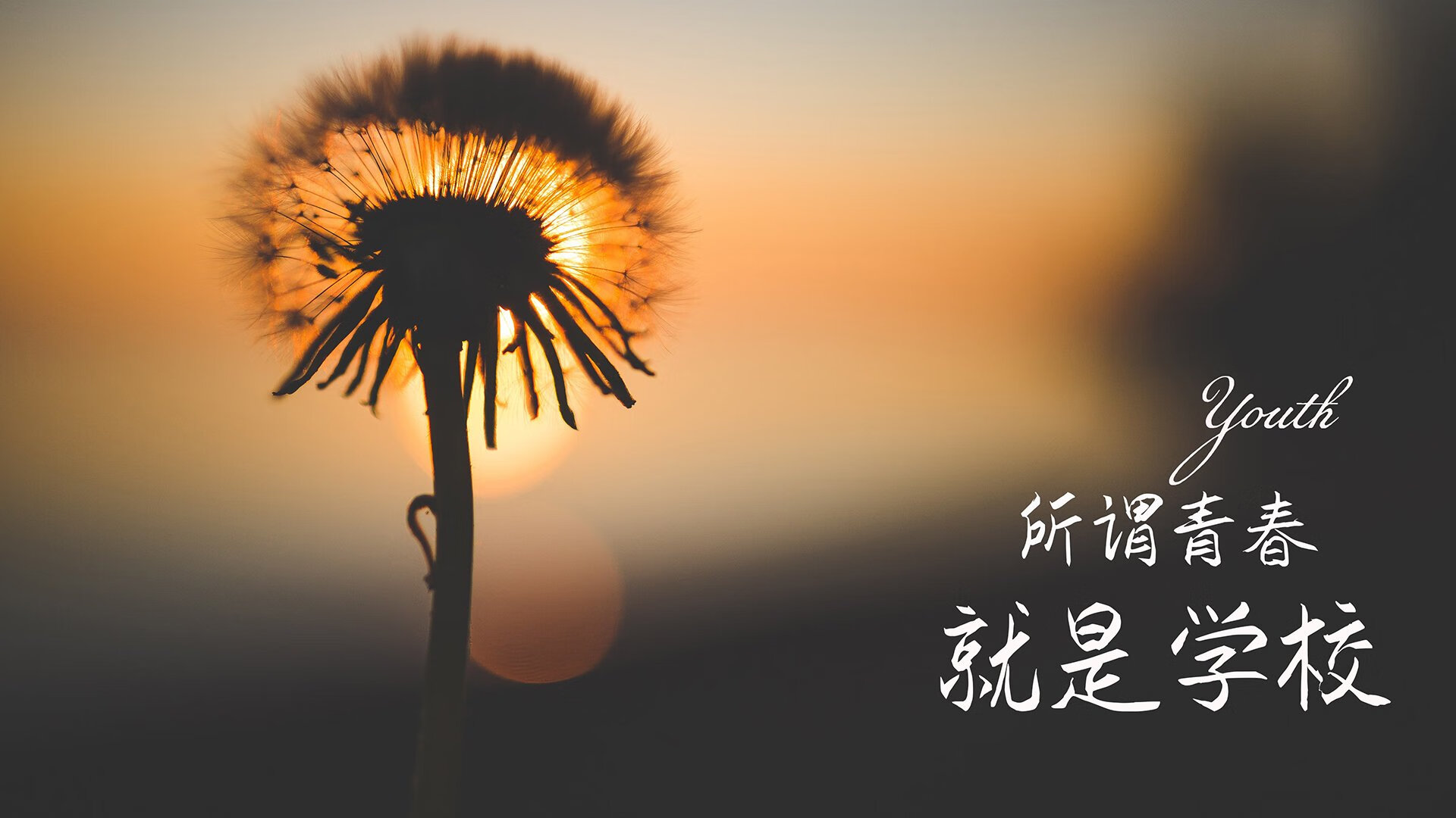 九游正版入口-【战术揭秘】大谷翔平如何平衡投打两项任务，大谷翔平为什么这么受关注