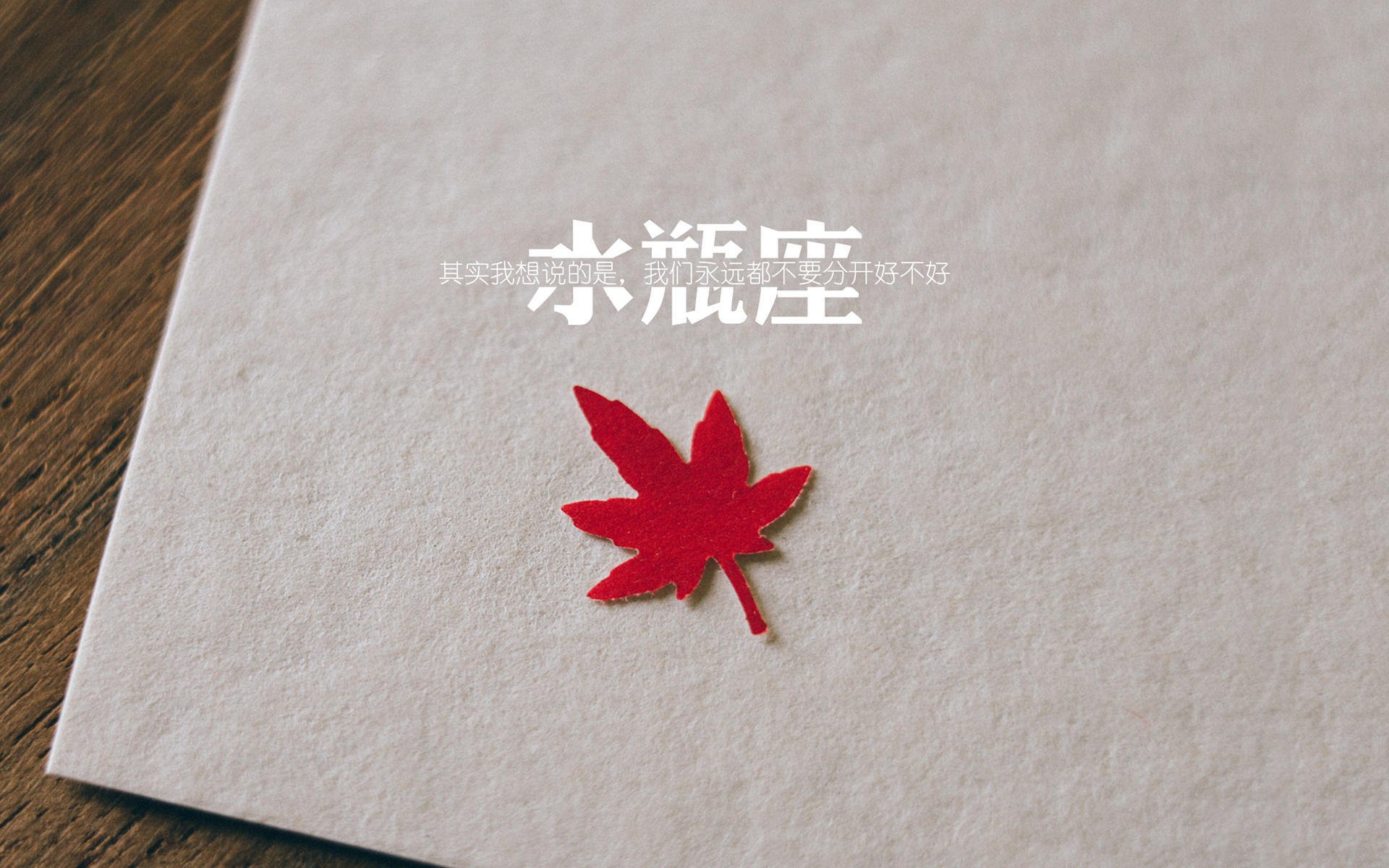 巴朗加国王年轻球员崭露头角，巴朗加国王年轻球员崭露头角视频