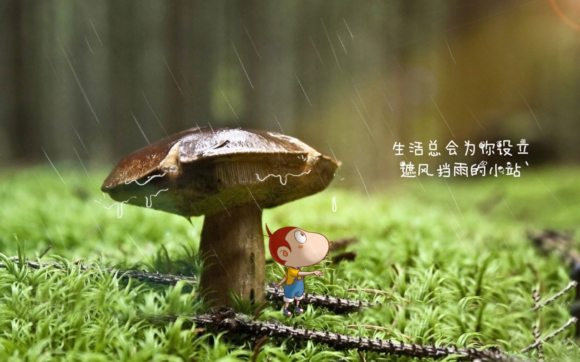 德甲球队利用深度学习模型预测对手阵型变化趋势,德甲解析
