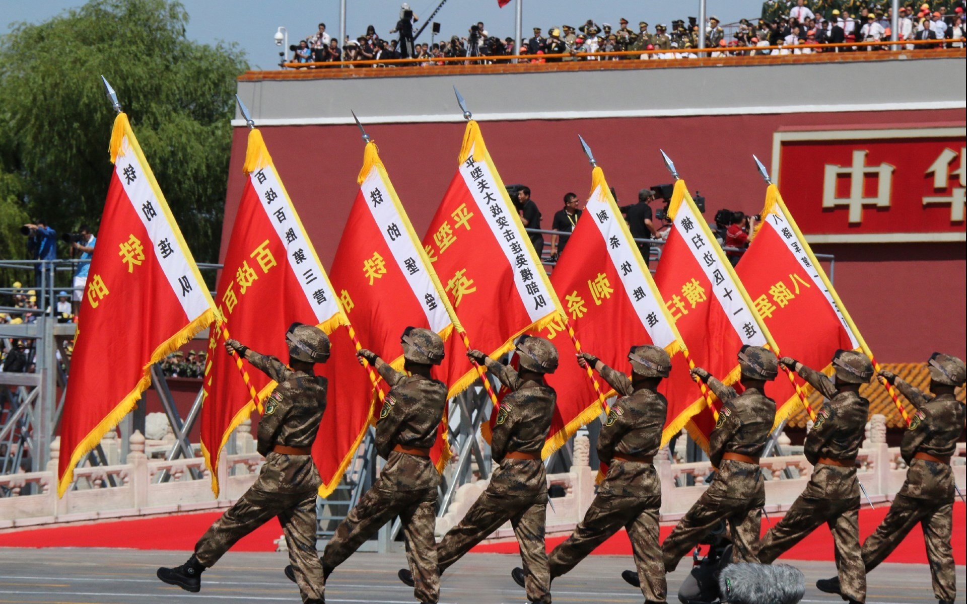 混合泳赛事比利时选手均衡发展，混合泳世界冠军