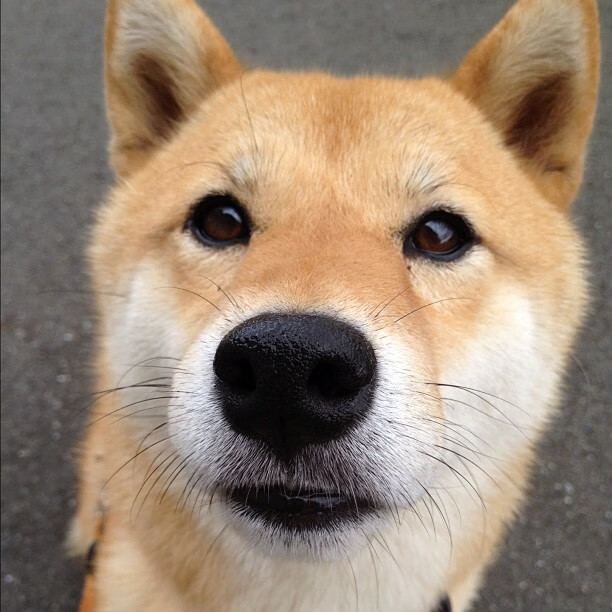 特立尼达和多巴哥队在中美洲锦标赛中积累经验,迎接未来挑战